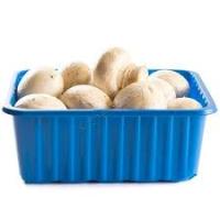 Cello White Mushrooms 8 oz