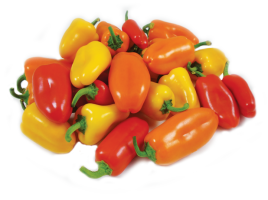 Mini Sweet Peppers Medley 16 oz