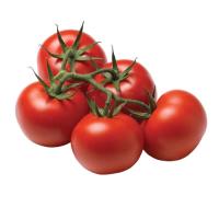 Vine Tomatoes LB.