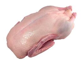 Whole Duck 5 lb