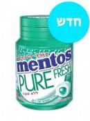 Mentos Pure Fresh Delicate Mint Flavored Gum 30 Pieces
