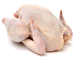 Mini Cornish Hens 1lb Pack Each